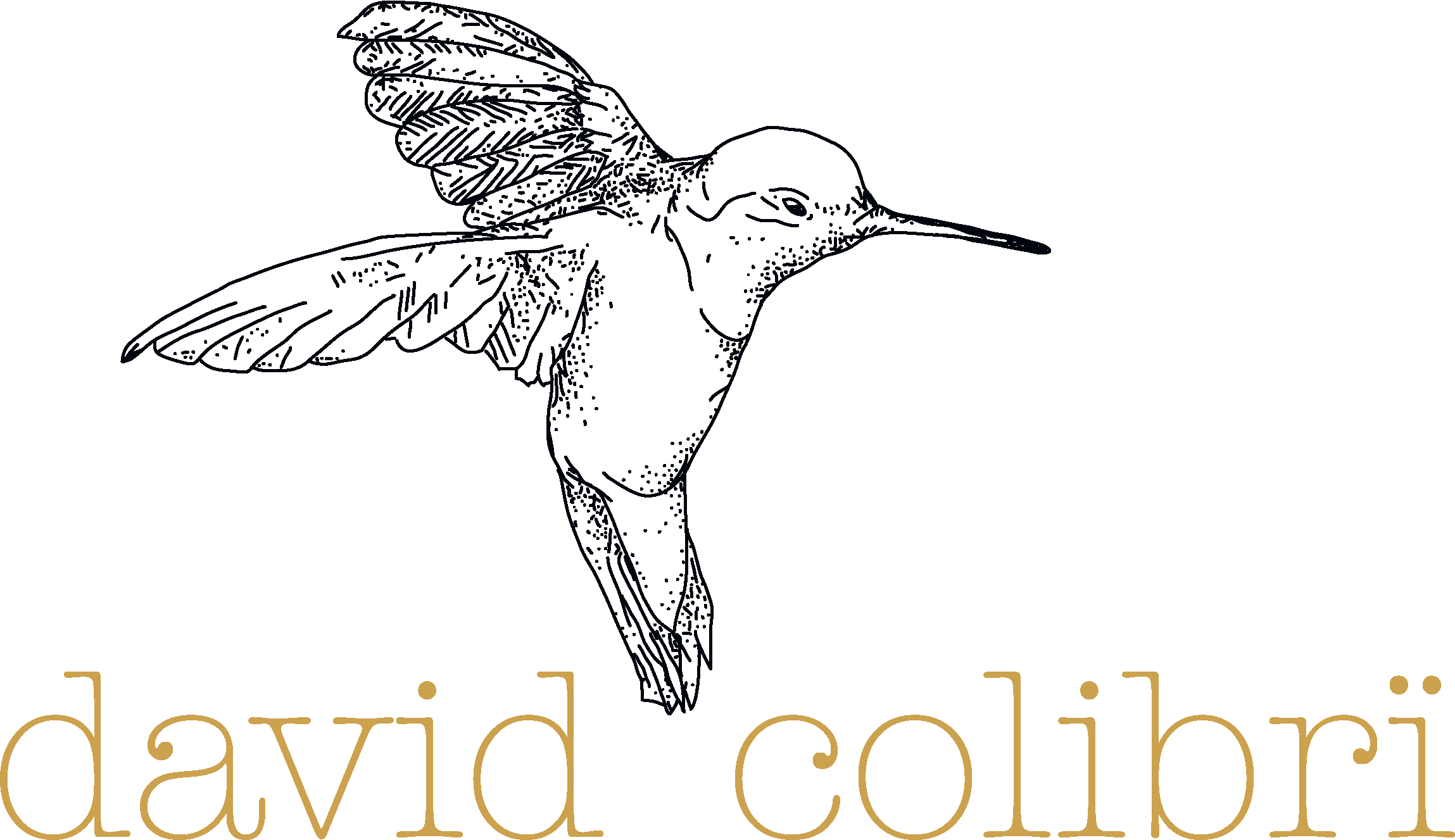 david colibrï