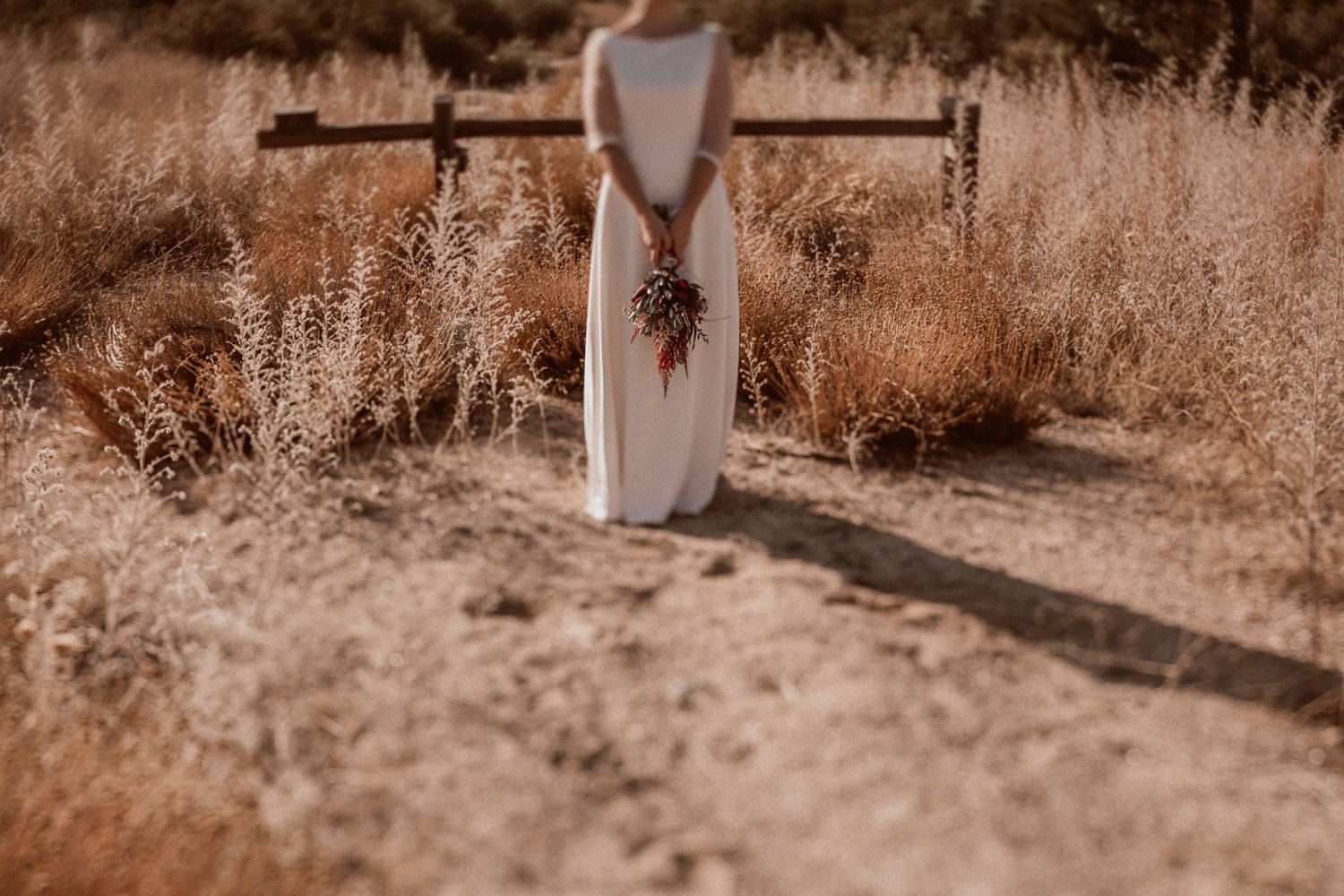 Fotógrafo bodas Salamanca